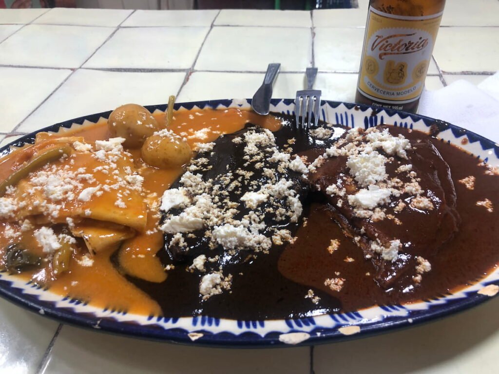 Image of a mole dish in Oaxaca.