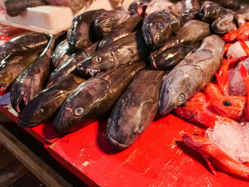 Tsukjiki fish market